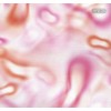 Affreschi & Affreschi | Flo | Feather | KR0101